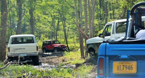 1979 Ford Bronco - Multiple off-road vehicles navigate a wooded trail, with a white Ford Bronco prominently visible.