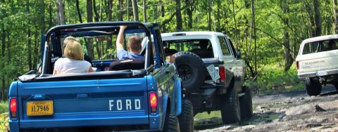 1979 Ford Bronco - Three Ford Broncos, including a blue 1979 model, navigate a wooded dirt road during an off-road excursion.