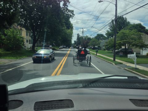 1979 Ford Bronco - A horse-drawn buggy travels down a two-lane road in a residential area, passing a dark sedan.