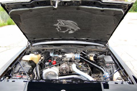 1985 Mercury Grand Marquis “BIGNSLOW”
