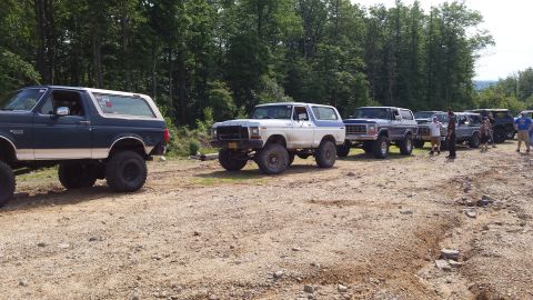 1979 Ford Bronco - Several Ford Broncos are lined up on a dirt path, with trees in the background.