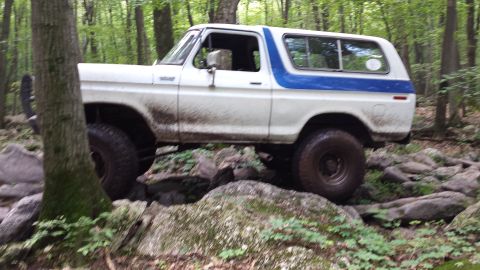 1979 Ford Bronco - White Ford Bronco with blue stripe is shown off-roading on a rocky, wooded trail.