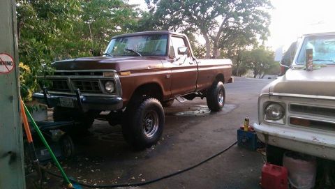 1976 Ford F-250 photo