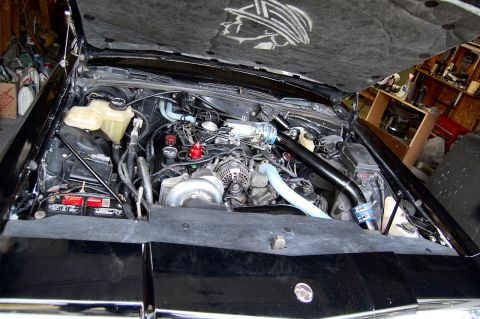 1985 Mercury Grand Marquis “BIGNSLOW”