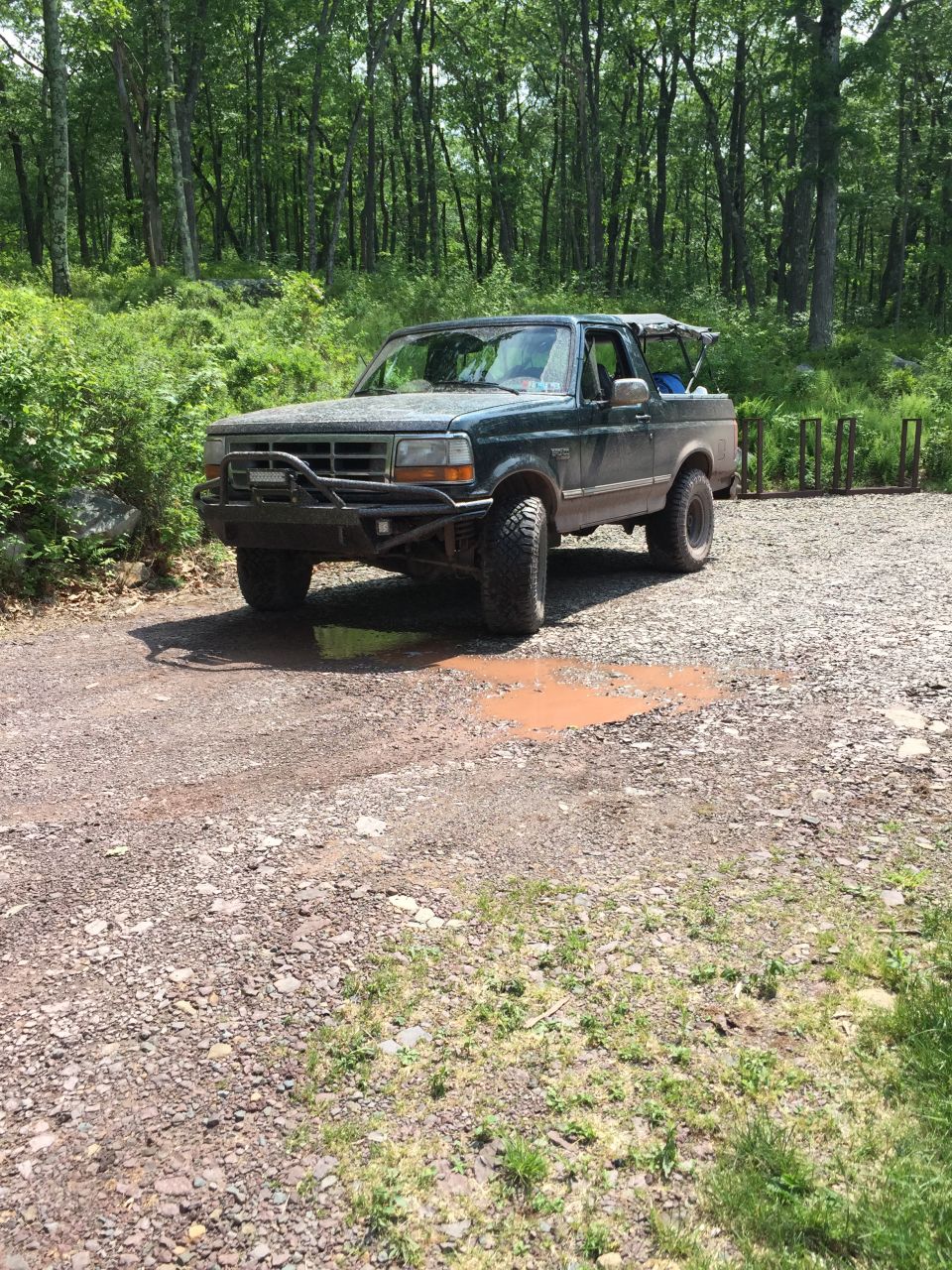 Dark green Ford Bronco parked on a gravel road in a forest.