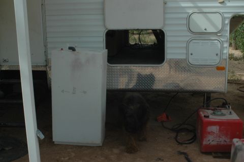 1995 Peterbilt 379 “O`Mally”