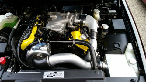 2003 Mercury Marauder “Black Sunshine”