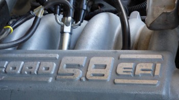 1982 Ford Bronco photo
