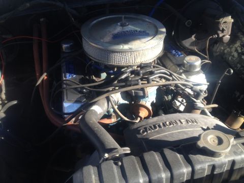 1979 Ford Bronco - A close-up view of the engine bay of a 1979 Ford Bronco, showing the air cleaner, carburetor, spark plug wires, and radiator fan shroud wit…