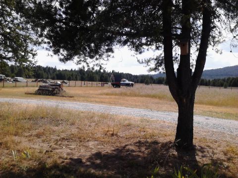 1989 Ford Bronco - A dark-colored pickup truck is parked in a dry, grassy field next to a stack of logs. A birdhouse is attached to a tree in the foreground.