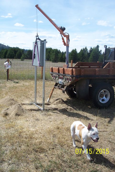 1989 Ford Bronco - A white and tan dog stands in dry grass in front of a trailer with a crane lifting an electrical box. The scene is outdoors with trees and…