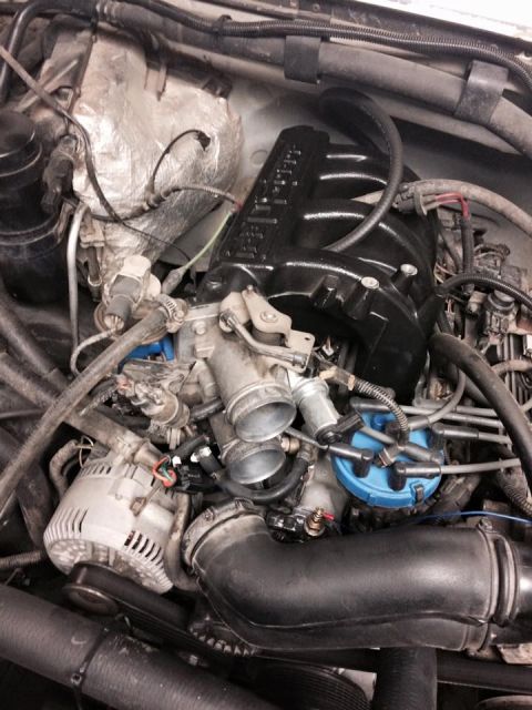 1995 Ford Bronco - The image shows a close-up view of the engine bay of a 1995 Ford Bronco. Visible components include the intake manifold, alternator, distri…