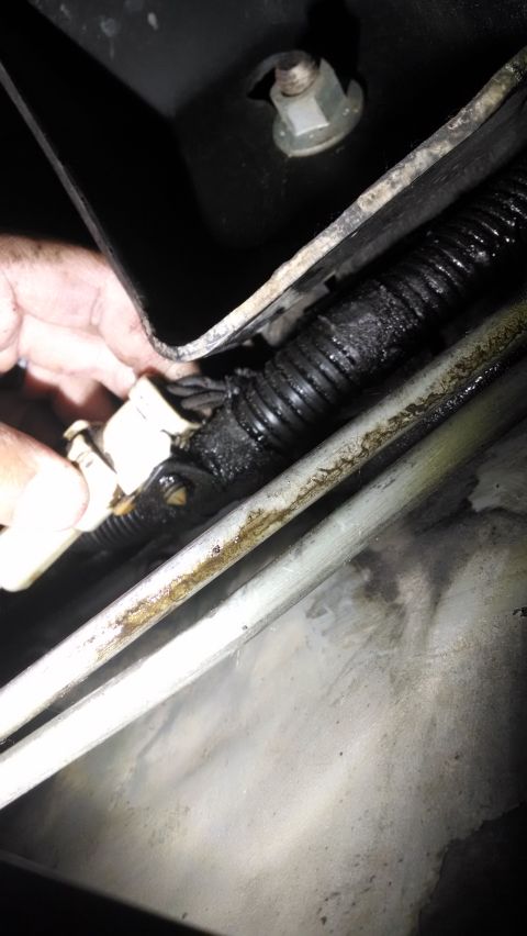 1994 Ford Bronco - A hand is shown disconnecting a white electrical connector from a black corrugated wire loom that appears to be leaking fluid. The backgrou…