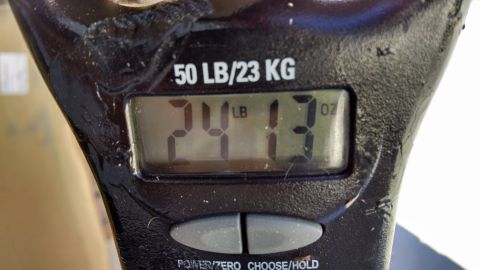 1979 Ford F-150 - A digital scale displays a weight of 24 pounds and 13 ounces, with a maximum capacity of 50 LB/23 KG indicated at the top.