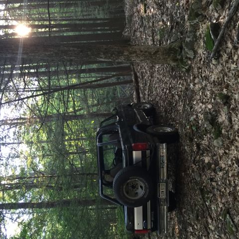 1995 Ford Bronco