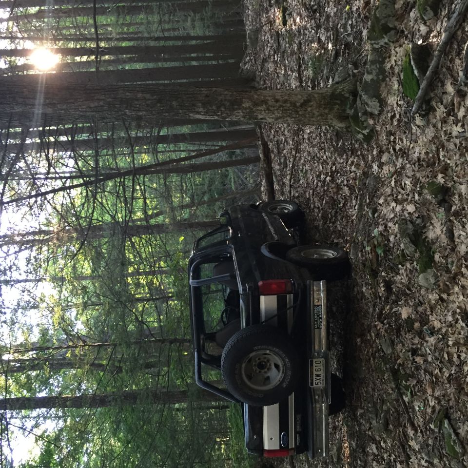 Black Ford Bronco parked on a wooded trail with sun shining through trees.
