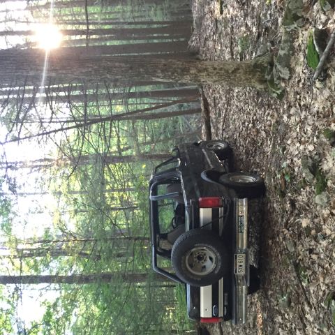 1995 Ford Bronco