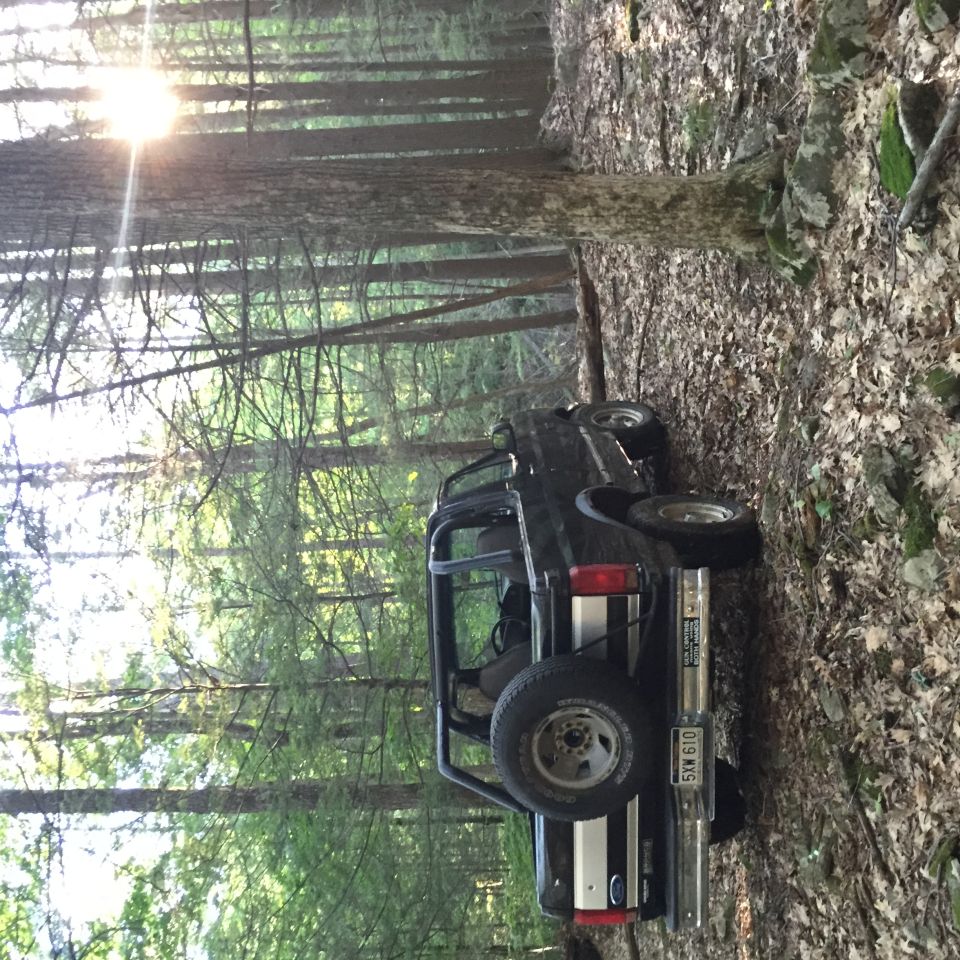 Black Ford Bronco parked on a forest path with sunbeams filtering through trees.