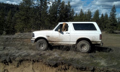 1992 Ford Bronco - Trapper at 7 mile