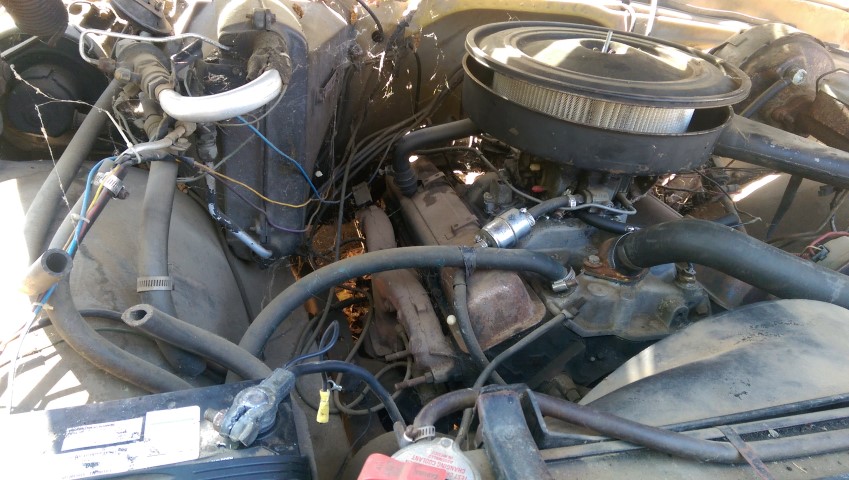 Engine bay with hoses, wires, and air cleaner visible