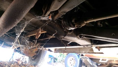 1968 Chevrolet C/K Pickup - The underside of a vehicle is covered in cobwebs, with another vehicle partially visible in the background.