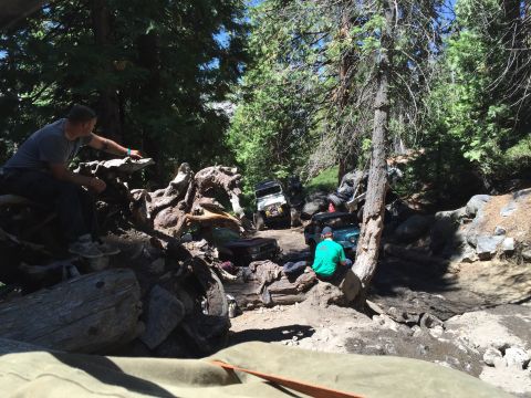 1946 Jeep CJ5 - Multiple Jeeps on a challenging off-road trail surrounded by trees and rocks.