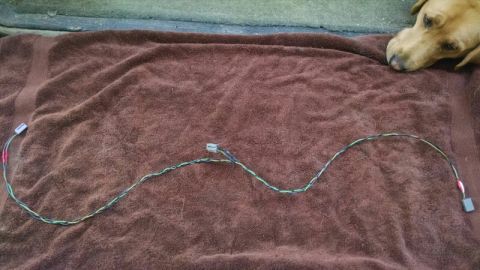 1992 Ford Bronco - A dog looks on as a wiring harness is displayed on a towel.