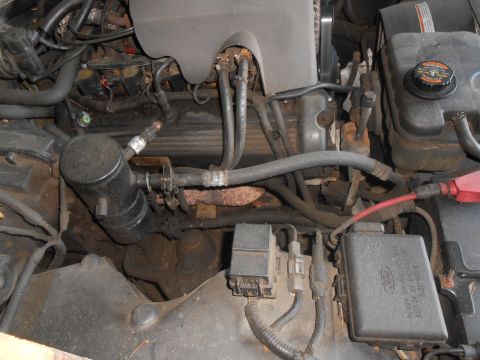 1999 Ford Crown Victoria photo