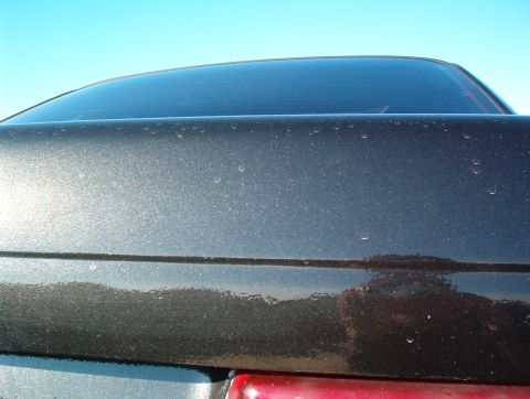 1990 Ford Taurus - This is a close up of the pearl color.
