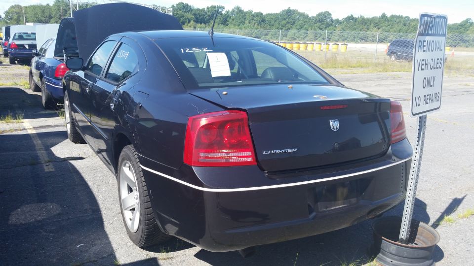 Dark blue Dodge Charger with a white stripe on the rear bumper, seen from the rear