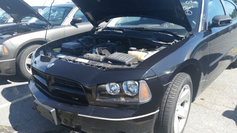 2001 Ford Crown Victoria - Two Dodge Chargers are parked side-by-side, both with hoods open revealing their engines.