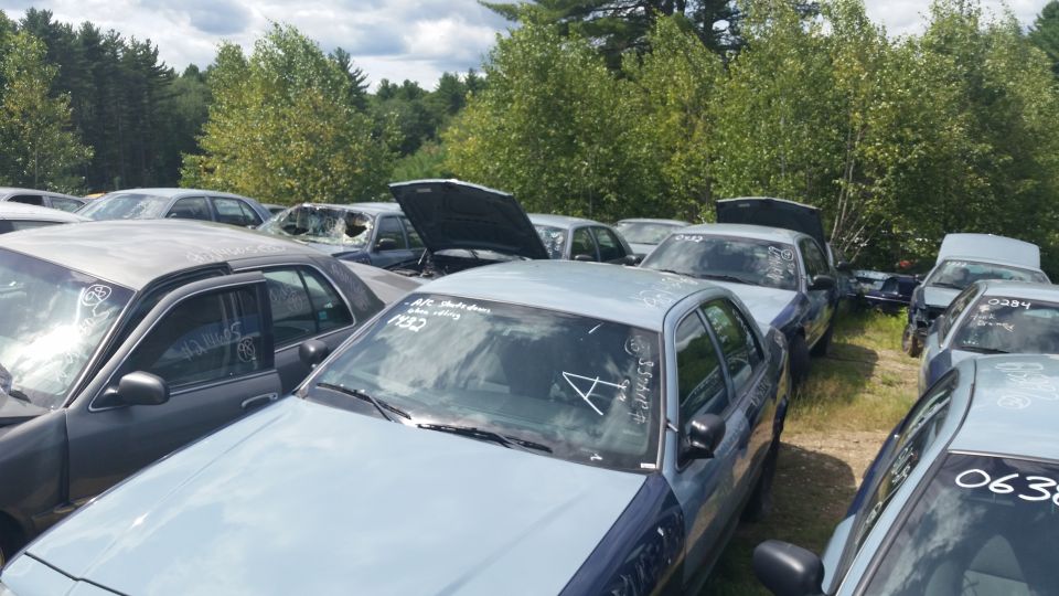 Densely packed sedans with grease-pencil markings in a wooded salvage yard
