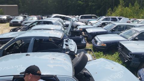 2001 Ford Crown Victoria - Photo of a person among densely packed salvage vehicles in a yard, not a document.