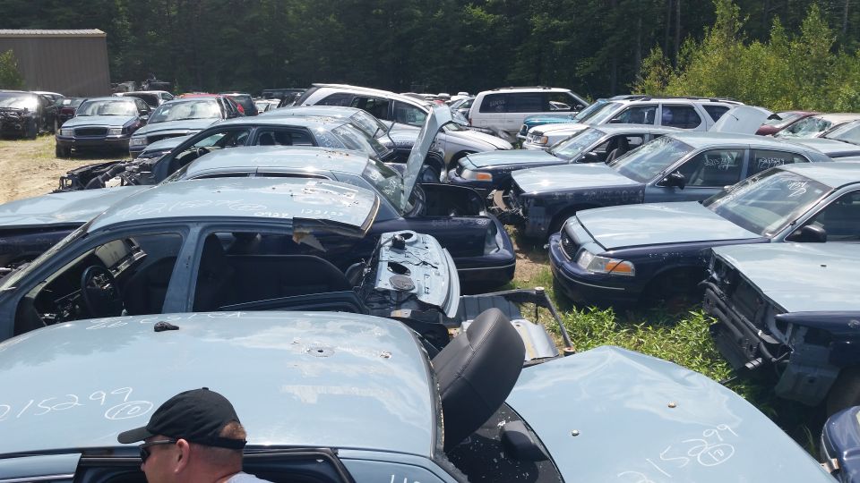 Person in cap beside crowded wrecked sedans in a wooded salvage yard