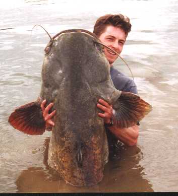 1992 Ford Bronco - A man proudly displays a very large catfish he has caught.