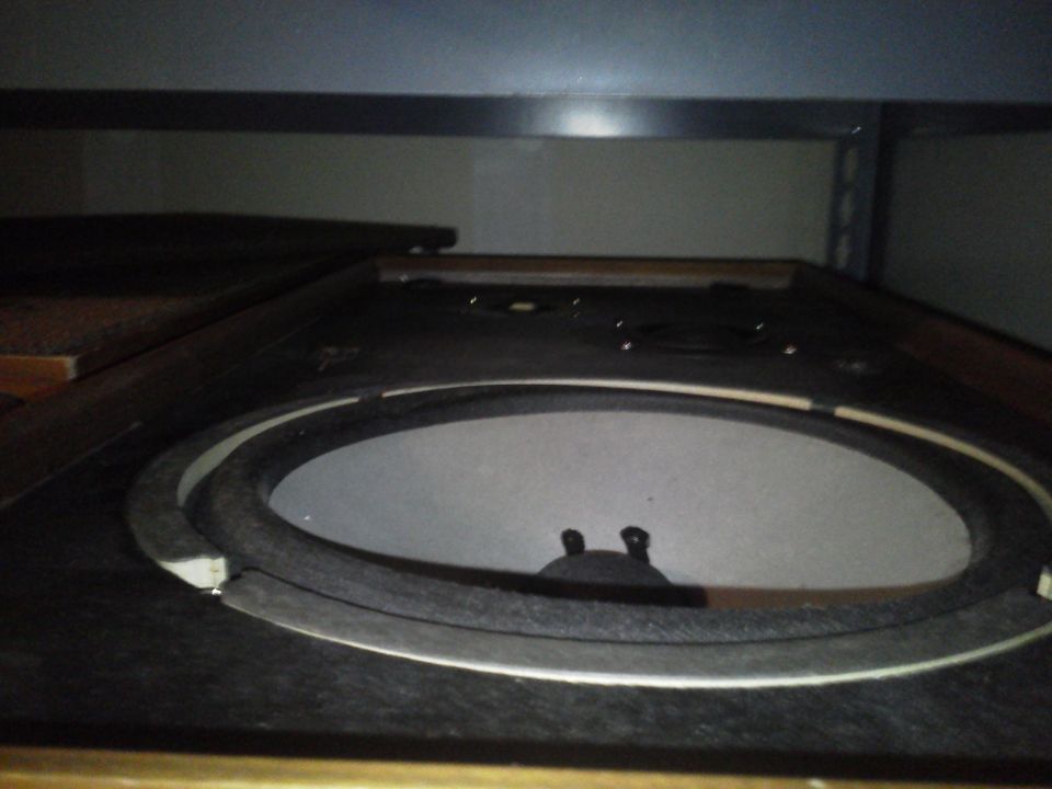 Speaker cone with black surround inside a dark enclosure.