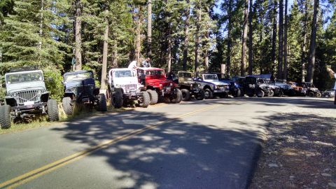 1985 Jeep CJ7 - A line of modified Jeep CJ-style vehicles are parked on the side of a paved road lined with tall pine trees. The vehicles are mostly lifted…