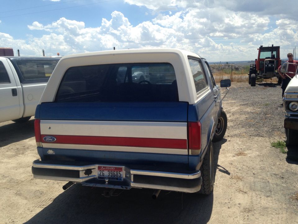 Rear view of blue and white 1980s Ford Bronco with red stripe