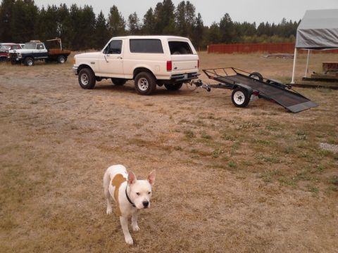 1990 Ford Bronco - A white 1990 Ford Bronco is seen towing a trailer in a dry, grassy field.