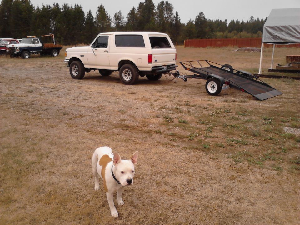 White 1990 Ford Bronco towing a trailer