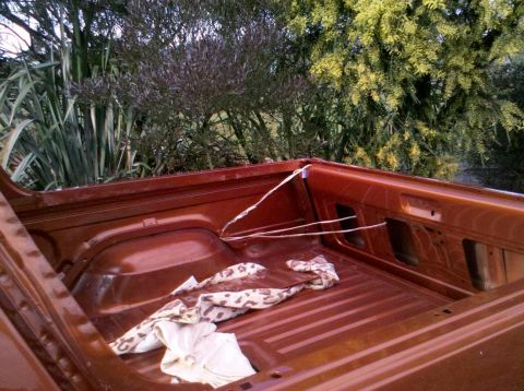 1982 Ford Bronco - The interior of a truck bed shows some cloth and rope tied to the side.