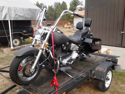 2000 Harley-Davidson Softail “Black Betty - Back In Black!!!”