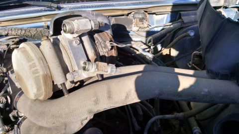 1979 Ford F-150 - Close-up view of engine components and hoses within the engine bay.