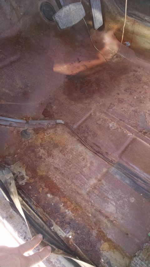 1979 Ford F-150 - The interior floor of a vehicle shows extensive rust and discoloration, with visible pedals.