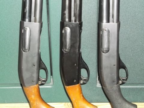 1995 Mercury Grand Marquis - Three shotguns with wooden stocks and black receivers are displayed side-by-side.