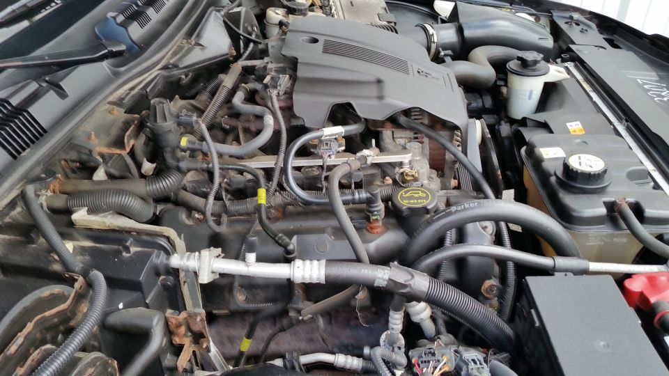 Engine bay of a 2001 Ford Crown Victoria, showing hoses, wires, and engine components