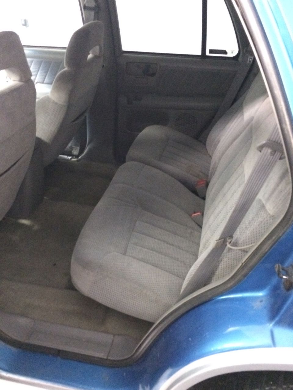 Blue SUV interior rear seats and door panel