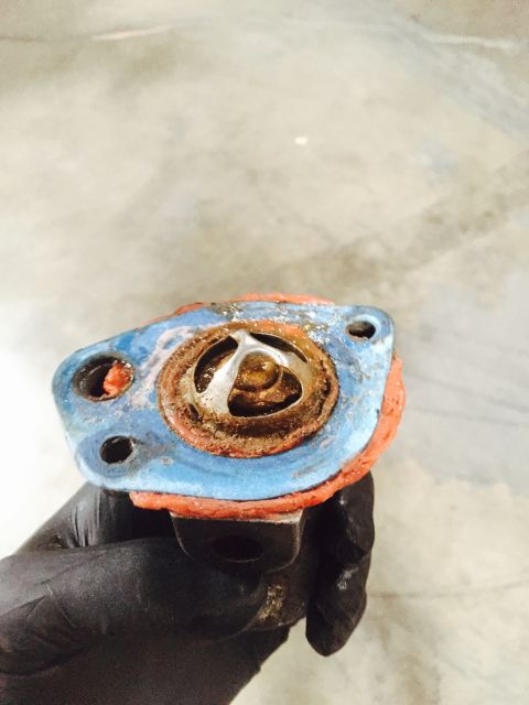 1988 Ford Bronco - A corroded thermostat housing with its gasket is held by a gloved hand.