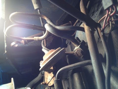 1973 Ford Bronco - Close-up view of various engine bay parts, including hoses and wiring.