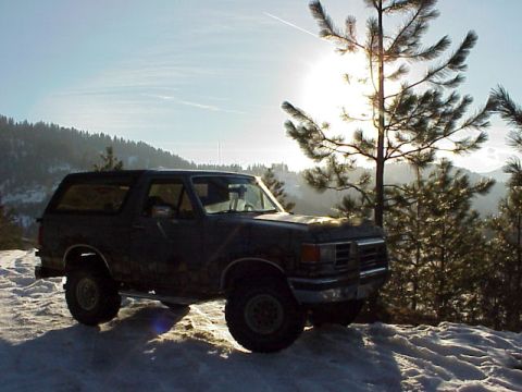 1989 Ford Bronco - A dark blue Ford Bronco sits on a snow-covered hill as the sun shines brightly through a pine tree.